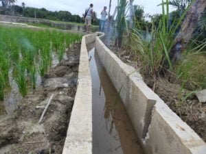 Diduga Saluran Irigasi Tani Desa Ganting Damai Dikerjakan Asal Jadi