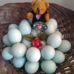 Kembangkan Bisnis Masa Pandemi COVID-19, Seorang Dosen Aplikasikan Ilmu