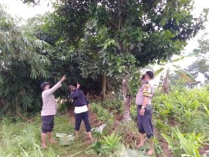 Geger!!.. Seorang Pria Warga Desa Cibunar Bogor Ditemukan Gantung Diri di Pohon