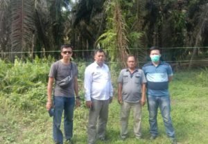10.45 Hektar Lahan Kebun Sawit PT. Lonsum Dipatok Pemilik Lahan