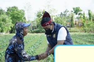 Petani Tembakau Pamekasan Dimanja, Pemkab Siapkan Sejumlah Bantuan Gunakan Dana Bagi Cukai