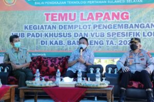 Bupati Bantaeng Panen Raya VUB Padi Khusus dan VUB Spesifik Lokasi
