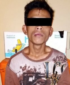 Polres Way Kanan Amankan Pelaku Curat Ranmor Roda Empat di Jalinsum