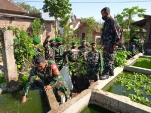 11 Bintara Otsus Kodim 0822 Bondowoso Belajar Budidaya Ikan Patin