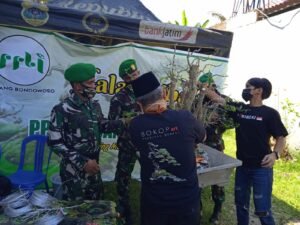 Bintara Dikjurba Otsus Kodim 0822 Bondowoso Anjangsana Budidaya Tanaman Bonsai
