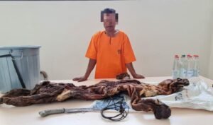 Ditreskrimsus Polda Riau Bersama BKSDA Gagalkan Perdagangan Kulit Harimau Sumatera
