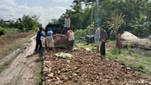 Pemdes Tirtalaga Bangun Pengerasan Akses Jalan Persawahan 400 Meter