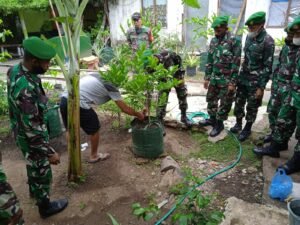 Manfaatkan Lahan Kosong, Dikjurba Otsus Kodim 0822 Bondowoso Budidaya Tanaman Hortikultura