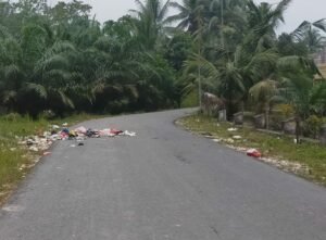Warga Keluhkan Tumpukan Sampah yang Berserakan di Jl. Sungkinang