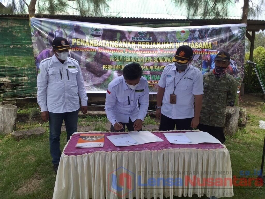 Perhutani Bondowoso Gandeng GNH Lakukan Penghijauan
