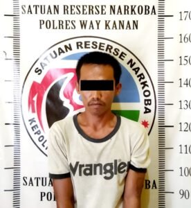 Polres Way Kanan Berhasil Mengamankan “AR” Diduga Edarkan dan Penyalahgunaan Sabu