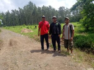 LMDH Mitra Hutan Lestari Dampingi Pembagian Lahan Paska Tebang di KRPH Sidomulyo