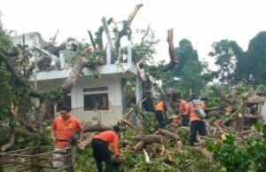 Pondok Pesantren di Sampang Tertimpa Pohon Berukuran Besar, Begini Kronologinya