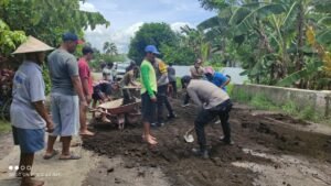 TNI-Polri Bersama Warga Perbaiki Jalan Rusak yang Sempat Ditanami Padi