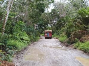 Miris!!.. Jalan Provinsi di Merangin Seperti Kubangan Kerbau