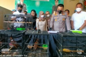 Polres Pelabuhan Tanjung Perak Gagalkan Ratusan Satwa Dilindungi