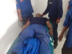 Serangan Lebah Gong Membuat Pasukan Damkar Sampang, Dilarikan ke Rumah Sakit