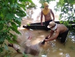 Geger..!! Ditemukan Mayat Tanpa Identitas di Sungai Pakuon Ratu