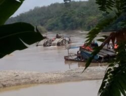 PETI di Kec. Pamenang Merajalela Hingga Tuai Keresahan