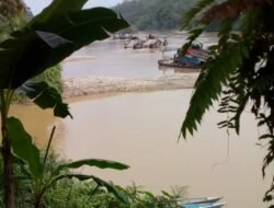 Pelaku PETI di Kec. Pamenang Diduga Kebal Hukum