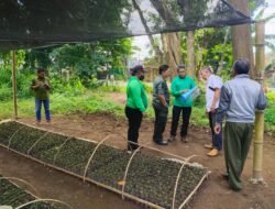 Administratur Perhutani Bondowoso Pastikan Persediaan Bibit Tanaman