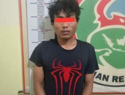 Sat Resnarkoba Polres Dairi Ringkus Dua Orang Terduga Pelaku Tindak Pidana Narkotika Gol I Jenis Ganja