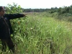 Warga Terdampak Tol Palembang-Betung Tuntut Ganti Rugi