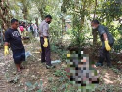 Diduga Sakit, Ajo di Temukan Warga Tak Bernyawa di dalam Parit