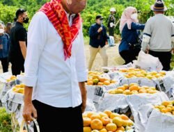 Berikut Isi Percakapan Bupati Dairi Saat Bicara dengan Presiden Jokowi