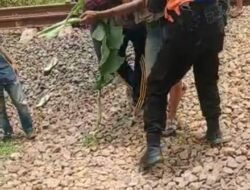 Tragis..!! Seorang Pria Lanjut Usia Tewas Usai Tertabrak Kereta Api di Jalur Ilir Perlintasan  Kampung Kali Papan