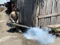 Dinkes Bantaeng Putus Sebaran Wabah DBD di Bantaeng