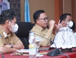 Pemprov Sulsel Akui Akselerasi Pemulihan Ekonomi Bantaeng