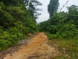 Pihak Rekanan Sebut Wakil Ketua II DPRD Pultab Tidak Paham Prosedur Pelaksanaan Proyek