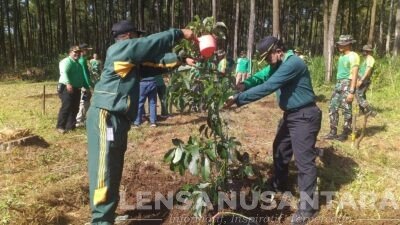 Menyambut HUT ke 61 Perhutani dan Kostrad Gelar Penghijauan di RPH Curahdami