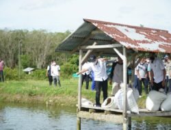 Sekjen Kementrian Perikanan dan FAO Indonesia – Timor Leste Tinjau Produksi Salai Koto Masjid dan Balai Benih Ikan