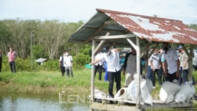 Sekjen Kementrian Perikanan dan FAO Indonesia – Timor Leste Tinjau Produksi Salai Koto Masjid dan Balai Benih Ikan