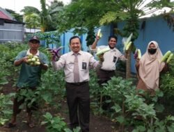 Inspektur Bantaeng Sulap Pekarangan yang Semula Tidak Produktif, Kini Menjadi Bermanfaat dengan Membudidayakan Berbagai Jenis Sayuran