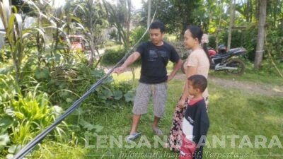 Warga Pekauman Bondowoso “Dihantui” Kabel PLN yang Bergelantungan