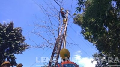 Warga Pekauman Bernafas Lega, Atas Respon Cepat PLN Bondowoso