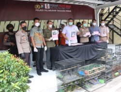 Ratusan Satwa Liar Jenis Burung Diselundupkan dari Banjarmasin Digagalkan Polisi Surabaya
