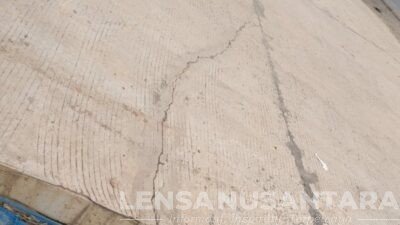 Amunisi Tuding Proyek PEN Tidak Maksimal, Minta Pembayaran di Tunda