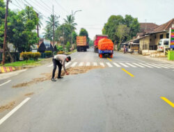 Tragis..!! Wanita Asal Tanggul Jember Tewas Terlindas Truk Tronton Saat Melintas di Jalan Raya Ranuyoso