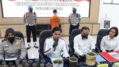 Ketahuan Tanam Ganja, Seorang Remaja Di Tangkap Satnarkoba Polres Bogor