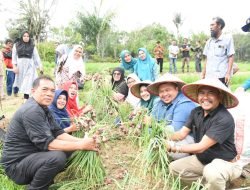 Bupati Tapsel Himbau Warga Manfaatkan Lahan TOGA Secara Maksimal