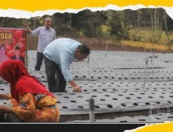 Wali Kota Padang Sidempuan Berharap Komoditi Pertanian Mampu Tunjang Kesejahteraan Warga