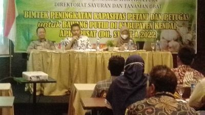 Dinas Pertanian dan Pangan Kendal Mengajak Masyarakat untuk Menanam Bawang Putih