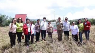 FDW-PYR Panen Kentang Bersama Kelompok Tani PKB Sion Pinasungkulan Minsel