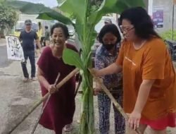 Viral..!! Emak-emak di Blitar Tanam Pohon Pisang Ditengah Jalan