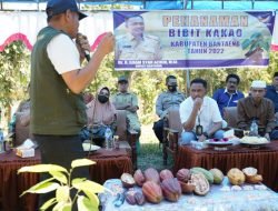 Dua Kecamatan di Bantaeng Berpotensi Produksi 3.2 Ton Kakao per Bulan