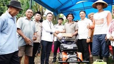 Ilham Azikin Panen Cabe di Eremerasa Bantaeng